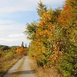 Landgasthof Gruss Fogadó Brilon