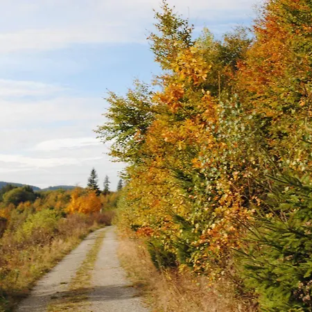 Landgasthof Gruss Penzion Brilon