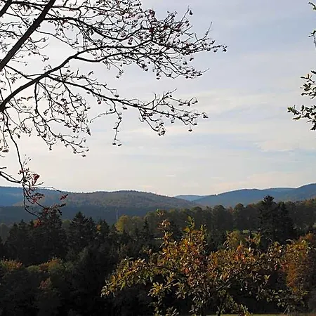 Penzion Landgasthof Gruss Brilon