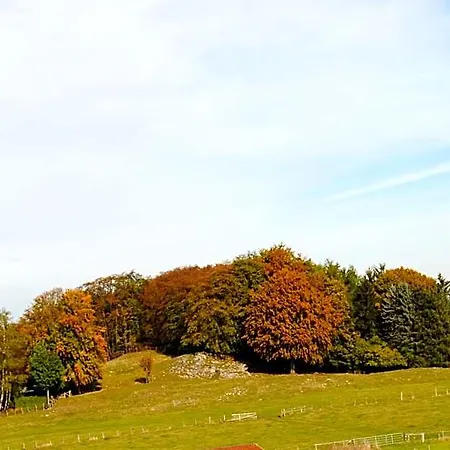 Landgasthof Gruss 2* Brilon