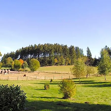 Landgasthof Gruss 2* Brilon