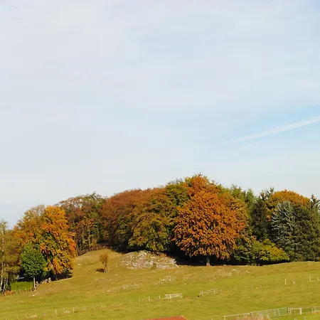Penzion Landgasthof Gruss