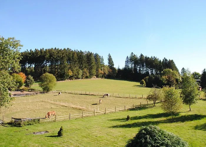 Landgasthof Gruss 2* Brilon